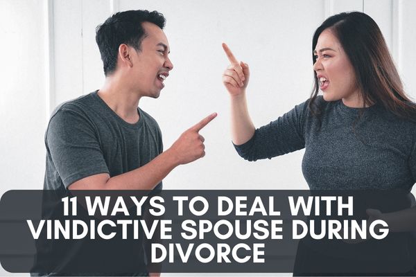 11 Ways to Deal with Vindictive Spouse During Divorce